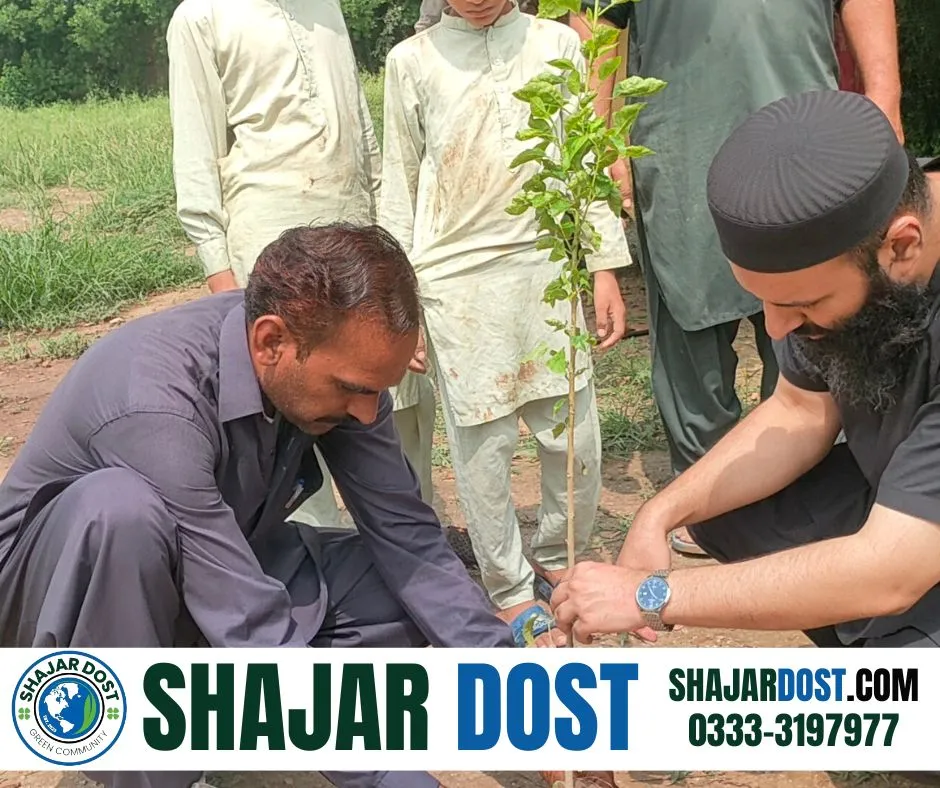 Green Seekers Activity